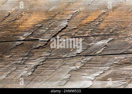 Holz Textur Stockfoto