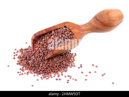 Rote Quinoa-Samen in Holzlöffel, isoliert auf weißem Hintergrund. Haufen roher kinwa. Stockfoto