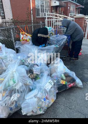 Schnitzler sortiert Aluminium- und Plastikflaschen aus dem recycelbaren Müll auf der Straße zur Abholung in Brooklyn, New York. Stockfoto