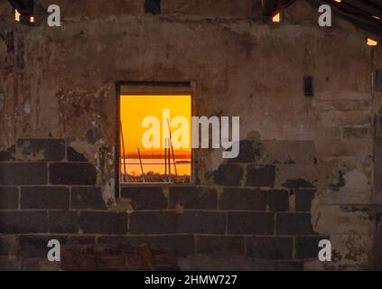 Blick auf einen Teich in der Camargue, einem geschützten Naturschutzgebiet, vom Fenster einer Fischerhütte aus. Südfrankreich. Stockfoto