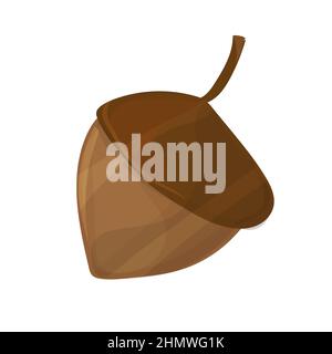 Eichel, Eichennuss, Samen. Hergestellt in Cartoon-Stil auf weißem Hintergrund. Vektorgrafik Stock Vektor