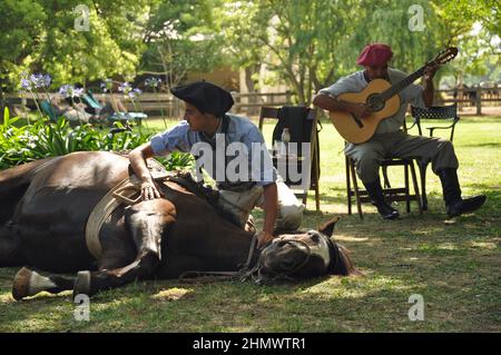 Traditioneller argentinischer Gaucho mit Pferdekenntnissen in La Pampas Stockfoto