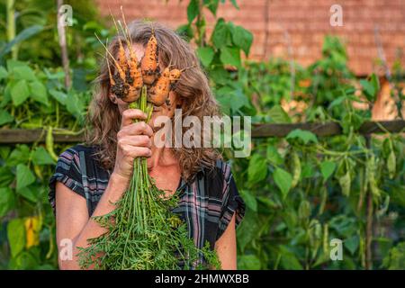 Die junge Frau hält Bio-Karotten aus ihrem eigenen Garten in der Hand Stockfoto