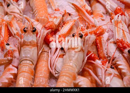 Nahaufnahme von frischen Garnelen auf Eis. Stockfoto