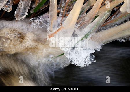 Eiszapfen hängen in der Nähe über dem Wasserstrom Stockfoto