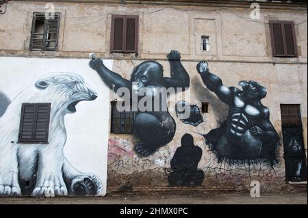 Rome, Italy 02/04/2017: Monkey Wandbild gemalt auf einem alten verlassenen Haus, Santa Passera Straße. © Andrea Sabbadini Stockfoto