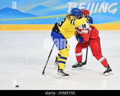 (220212) -- PEKING, 12. Februar 2022 (Xinhua) -- Sara Hjalmarsson (L) aus Schweden kollidiert während der Vorrunde der Eishockey-Frauen zwischen Schweden und Dänemark im Wukesong Sports Center in Peking, der Hauptstadt Chinas, am 8. Februar 2022 mit Nicoline Jensen. So cool wie „Transformers“ sind die Eishockeyspieler auf der Eisbahn „gepanzert“, um sich vor Verletzungen im größten Maße zu schützen. Als die chinesischen Eishockeyspieler bei den Olympischen Winterspielen 2022 in Peking auftauchten, zieht dieses Spiel immer mehr die Aufmerksamkeit der Öffentlichkeit auf sich. Im Wukesong Sportzentrum in Peking, staf Stockfoto