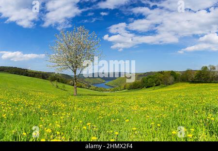 Sping-Blick in die eifellandschaft in deutschland mit Rursee Stockfoto