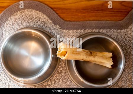 Ansicht von oben eines Hundekauen Knochen in Metallschale. Stockfoto