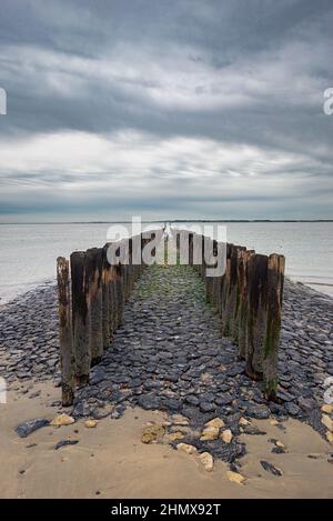 Pier mit Holzpfosten an der Nordseeküste in der Provinz Zeeland, Niederlande Stockfoto