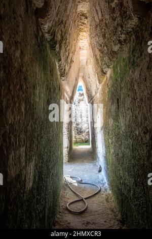 Maya-Ruinen Tikal Guatemala Stockfoto