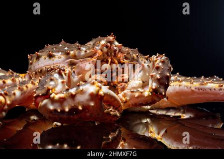 Rohe lebende Kamtschatka-Krabbe Paralithodes camtschatica, isoliert auf schwarzem Hintergrund Stockfoto