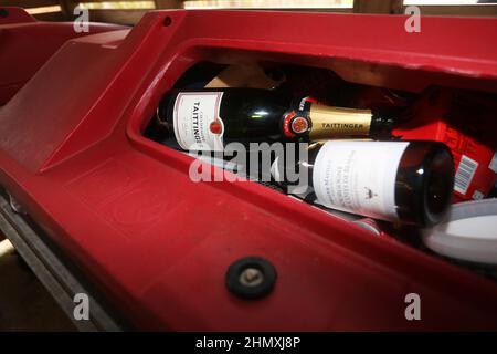 Leere Taittinger Champagnerflaschen in einem Recyclingbehälter in Brighton, East Sussex, Großbritannien. Stockfoto