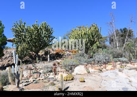 ESCONDIDO, CALIF - 9. FEBRUAR 2022: Der Sukkulenten-Garten der Alten Welt im San Diego Zoo Safari Park Stockfoto