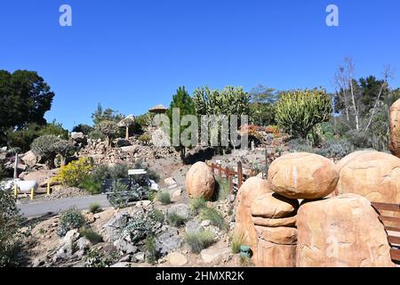 ESCONDIDO, CALIF - 9. FEBRUAR 2022: Der Sukkulenten-Garten der Alten Welt im San Diego Zoo Safari Park Stockfoto