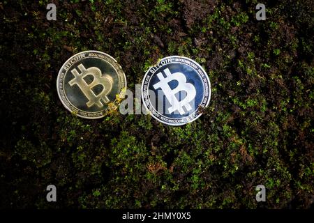 Bitcoin- und Krypto-Kryptowährungsabbau, Crashdown und Preiscrash sowie FUD-Konzept. Bitcoin-Münzen in gebrochenem, dunklem Mauerbeton. Stockfoto