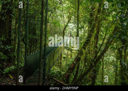 Hängebrücke über dem Nebelwald, Guanacaste, Costa Rica Stockfoto