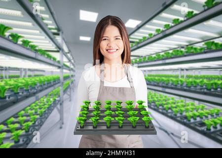 Landwirtschaftliche Technologie mit Arbeiter in intelligenten Indoor-Farm-System erhöhte Pflanzen in den Regalen Wachstum mit LED-Licht Stockfoto