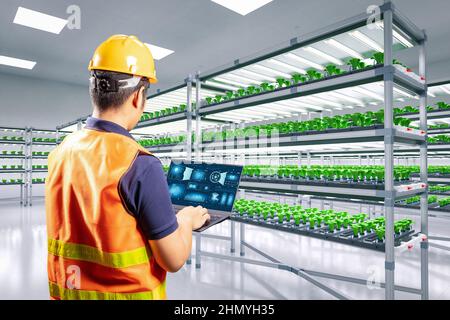 Landwirtschaftliche Technologie mit Arbeiter in intelligenten Indoor-Farm-System erhöhte Pflanzen in den Regalen Wachstum mit LED-Licht Stockfoto