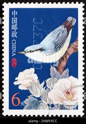 CHINA, VOLKSREPUBLIK - UM 2004: Eine in China gedruckte Marke zeigt den Yunnan-Nuthatch, sitta yunnanensis, eine im Süden endemische Art von Nuthatch Stockfoto