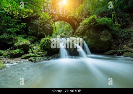 Versteckter Mysterien Wasserfall im Wald Stockfoto