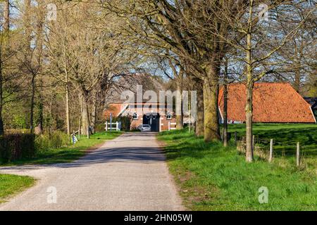 Holländische Landschaftlandschaft mit Straßen- und Bauernhäusern in der Nähe von Diepenheim Hof van Twente in Gelderland Stockfoto