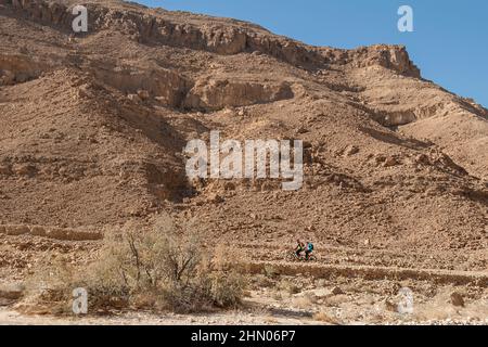 Ein blinder Fahrradfahrer auf einem Tandem-Mountainbike mit einem sehenden Fahrer, der den Israel Bike Trail in Wadi Nekarot mit einem Tamarisken aus Salzzeder im for genießt Stockfoto