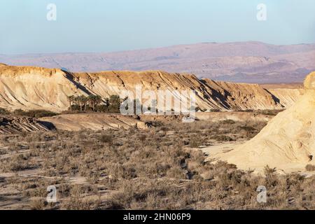 Ein künstlicher Mensch machte eine Palmenoase in der Arava-Wüste im Negev in Israel mit den Bergen Jordaniens und einem klaren blauen Himmel im Hintergrund Stockfoto