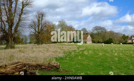 Soberton, Großbritannien - 1. März 2020: St Peter's Church, Soberton im Meon Valley im South Downs National Park, Hampshire, Großbritannien Stockfoto