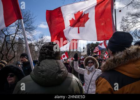 Toronto, Kanada. 12th. Februar 2022. Ein Protestler sah während einer Kundgebung eine kanadische Flagge schwenken.Trucker Konvoi Demonstranten versammeln sich am zweiten Wochenende in Folge im Queen's Park, Toronto, um sich solidarisch mit Anti-Mandats-Demonstrationen zu zeigen. Er kommt, nachdem die Provinz den Ausnahmezustand in Bezug auf die anhaltenden Blockaden erklärt hat, und die Polizei von Toronto Straßensperrungen in der ganzen Stadt eingerichtet hat. (Foto von Katherine Cheng/SOPA Images/Sipa USA) Quelle: SIPA USA/Alamy Live News Stockfoto