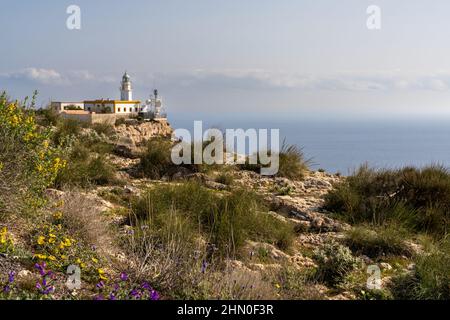 Blick auf den Leuchtturm Mesa de Roldan im Nationalpark Cabo de Gata in Südspanien Stockfoto