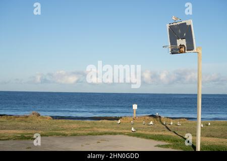 TE Kaha Schoolhouse Bay, Basketballkorb auf Rasen in Strandnähe Stockfoto