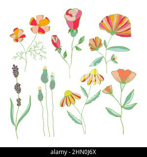 Vektor-Set von blühenden bunten handgezeichneten Blumen. Sammlung von niedlichen Blumen isoliert auf weißem Hintergrund. Stock Vektor