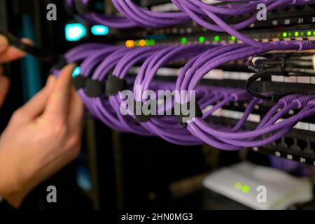 Data Cabinet Cables RJ45 Patchkabel und Leuchten Stockfoto