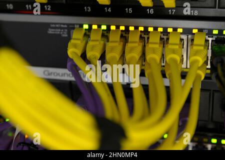 RJ45 gelbe Patchkabel auf der Rückseite eines Datenschranks Stockfoto