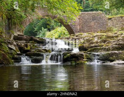 Sommeransicht von Walden Beck in West Burton, Yorkshire Dales, mit dem Bach, der unter einer Papppferdebrücke verläuft und über Kalksteinstufen hinunterstürzt Stockfoto