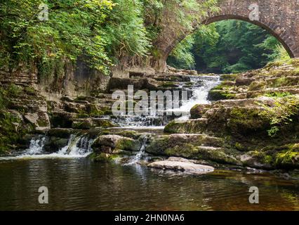 Sommeransicht von Walden Beck in West Burton, Yorkshire Dales, mit dem Bach, der unter einer Papppferdebrücke verläuft und über Kalksteinstufen hinunterstürzt Stockfoto