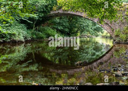Sommeransicht einer Papppferdebrücke über Walden Beck in West Burton mit dem Steinbogen, der sich im ruhigen Wasser des Baches widerspiegelt Stockfoto
