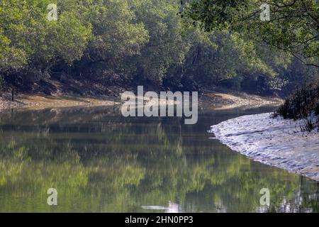 Ein Kanal in Sundarbans, der größte Mangrovenwald in Bangladesch. Stockfoto