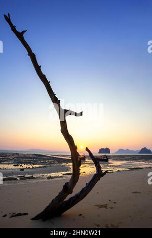 Sonnenaufgang an einem wunderschönen Strand auf Koh Ngai, südlich der Andaman Küste, Provinz Krabi, Thailand. Stockfoto