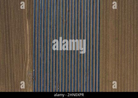 Luftaufnahme, Spargelfelder, Spargel mit schwarzer Plane bedeckt Stockfoto