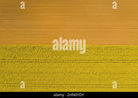 Luftaufnahme von Bodenreihen vor dem Anpflanzen von Canola. Furchen Reihen Muster in einem gepflügten Feld für die Pflanzung von Pflanzen im Frühjahr vorbereitet. Drohnenaufnahme Stockfoto