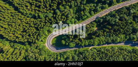 Luftaufnahme der Bergkurvenstraße mit Autos, grüner Wald im Frühjahr in Europa. Landschaft mit Asphaltstraße und Bäumen. Autobahn durch den Park. Oben Stockfoto