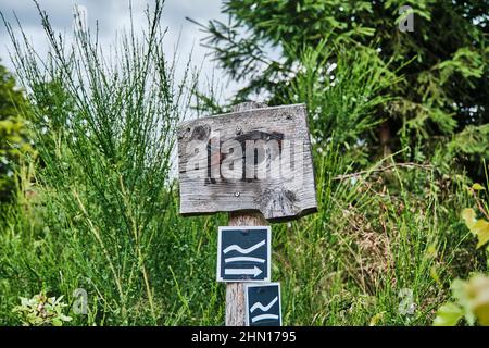 Holzschild mit dem Symbol eines europäischen Bisons, Wisent, Bos bonasus Stockfoto