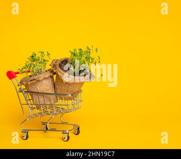 Blume Sämlinge in Torftöpfen und einem Metallwagen auf einem gelben Hintergrund. Konzept des Online-Marktes, Lieferung, Einkaufen im Online-Shop. Stockfoto