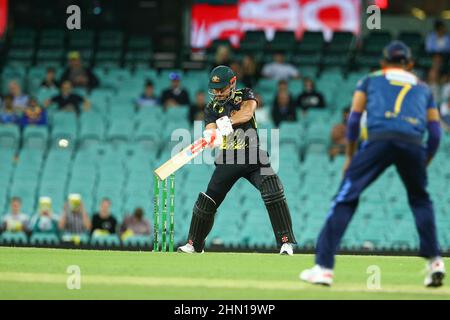 Sydney, Australien. 13th. Februar 2022 ; Sydney Cricket Ground, Sydney, NSW, Australien; T20 Internationales Cricket, 2nd Test, Australien gegen Sri Lanka; schiebt aus dem abseits Kredit: Action Plus Sports Images/Alamy Live News Stockfoto