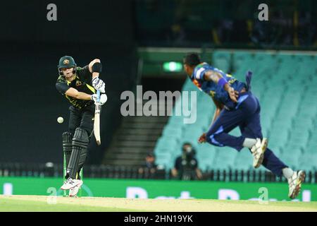 Sydney, Australien. 13th. Februar 2022 ; Sydney Cricket Ground, Sydney, NSW, Australien; T20 International Cricket, 2nd Test, Australien gegen Sri Lanka;Steve Smith aus Australien spielt den Ball ins abseits Kredit: Action Plus Sports Images/Alamy Live News Stockfoto