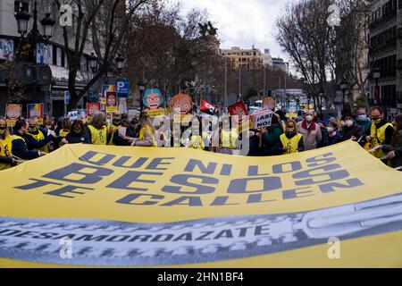 Madrid, Spanien. 13th. Februar 2022. Demonstranten halten ein großes Banner von Amnesty International während eines Protestes gegen das umstrittene Sicherheitsgesetz, das als „Gag Law“ bekannt ist, in Madrid. Kredit: SOPA Images Limited/Alamy Live Nachrichten Stockfoto