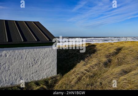 Stenbjerg, Dänemark. 30th Januar 2022. Blick über die Dünenlandschaft im Thy Nationalpark an der Nordseeküste. An der Westküste von Jütland, zwischen dem Leuchtturm in Hanstholm und der Agger Tange, befindet sich Dänemarks erster und größter Nationalpark Thy mit insgesamt 244 Quadratkilometern unberührter und herrlicher Natur. Quelle: Patrick Pleul/dpa-Zentralbild/ZB/dpa/Alamy Live News Stockfoto