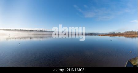 Panorama des Burnaby Lake Regional Park an einem nebligen Tag im Wald von Bäumen im Winter. Stockfoto